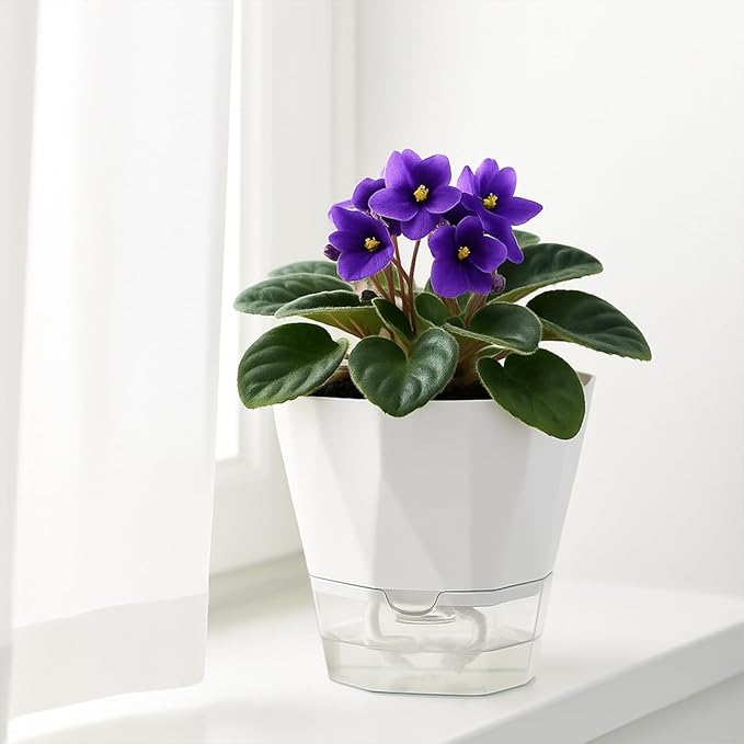 6 Pack Self Watering Plant Pots 6 Inches Self-Watering Planters - Image 6