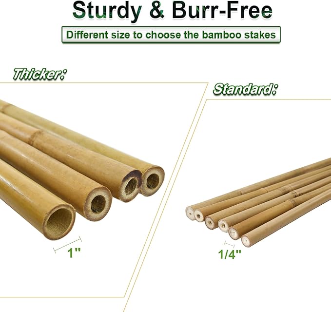 10pcs 1" D Thicker Heavy Duty Bamboo Stakes, 8FT Plant Stakes, Natural Garden - Image 5