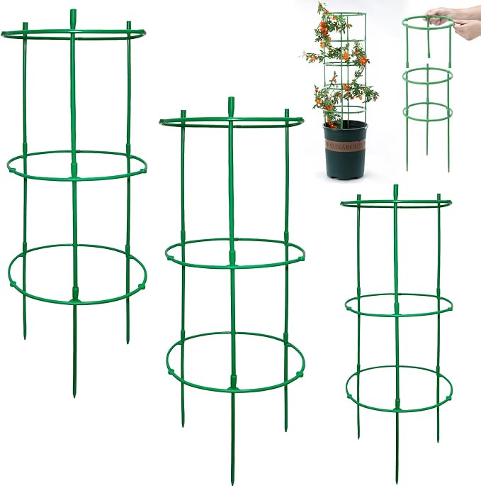 12 Packs Plant Support Stakes, Plant Support by Unknown