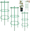 12 Packs Plant Support Stakes, Plant Support by Unknown