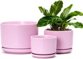 Ton Sin Pink Flower Pots, Ceramic Planter Pot by TonSin
