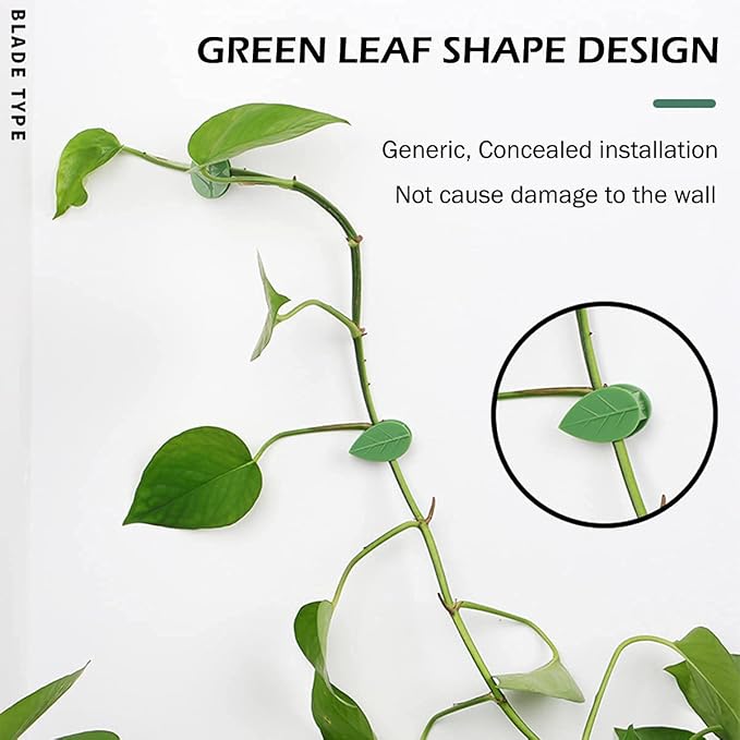 100 Pcs Plant Climbing Wall Fixture Clips Self-Adhesive Hook Vines Traction - Image 7