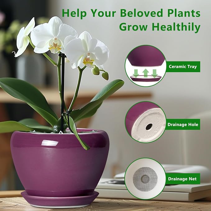 10 Inch Plant Pot - Image 5