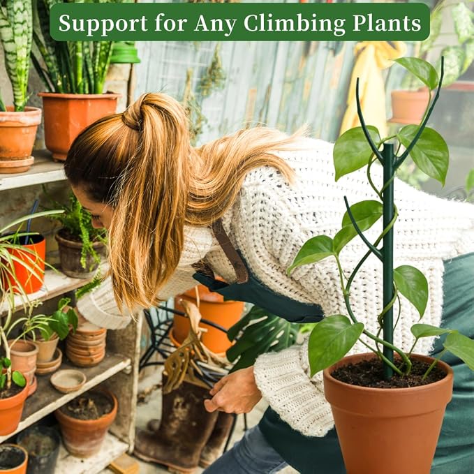 10 Pack Stackable Plant Support Stakes, 75inch Climbing Plant Sticks Structures - Image 5
