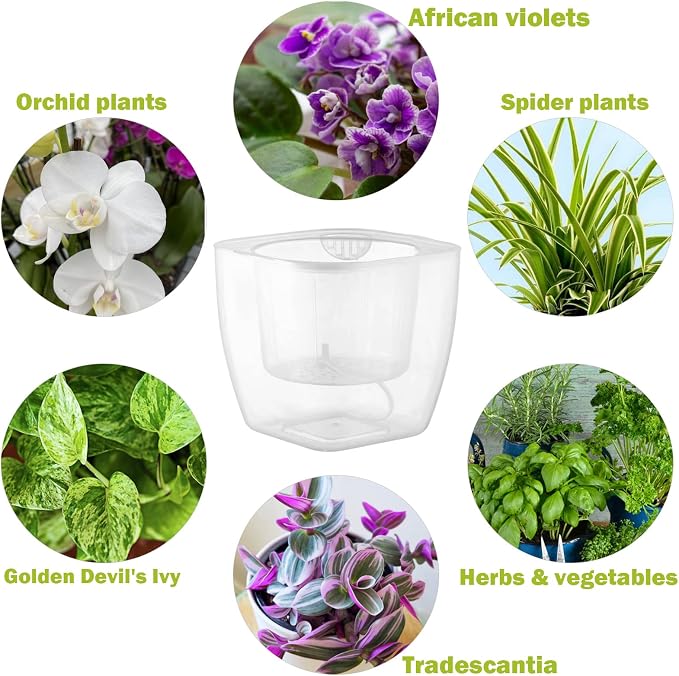 12-Pack Clear Self Watering Planters - Image 2