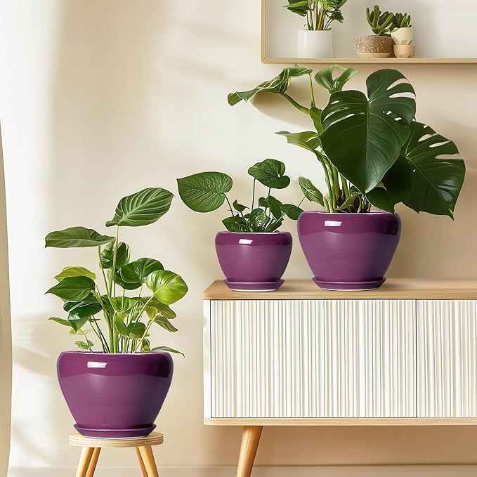 10 Inch Plant Pot - Image 8