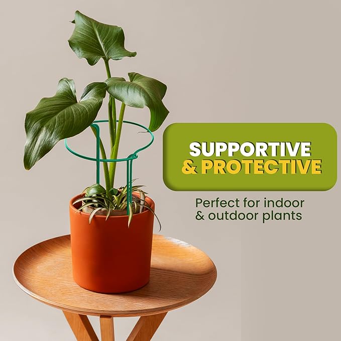 12 Pack Plant Support Stakes – Tall Plant Stakes - Image 7