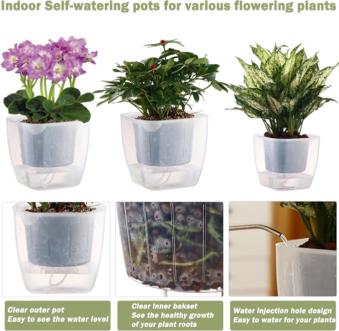 12-Pack Clear Self Watering Planters - Image 3