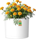 10 Inch Round Plastic Plant Pot by WSMKSZ