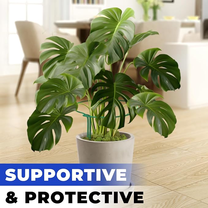 12 Pack Tall Snake Plant Support Stakes – 10" W x 24" H Half Round Peony Cages - Image 6