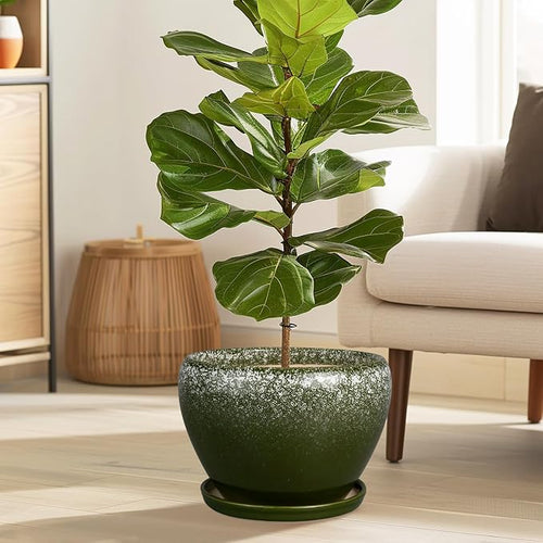 10 Inch Planter Pot - Image 2