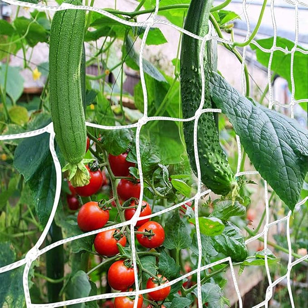  , CANAGROW Heavy-Duty Garden Plant Trellis Netting by CANAGROW