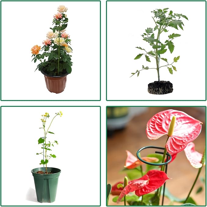 12 Pack Plant Stakes, Plant Support Stakes - Image 5