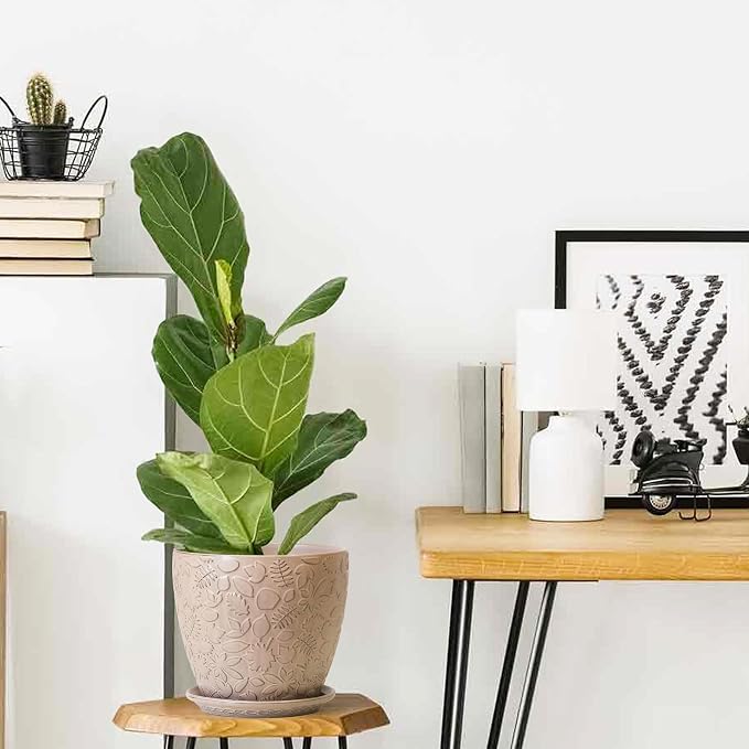 10inch Retro Ceramic Planter - Image 7