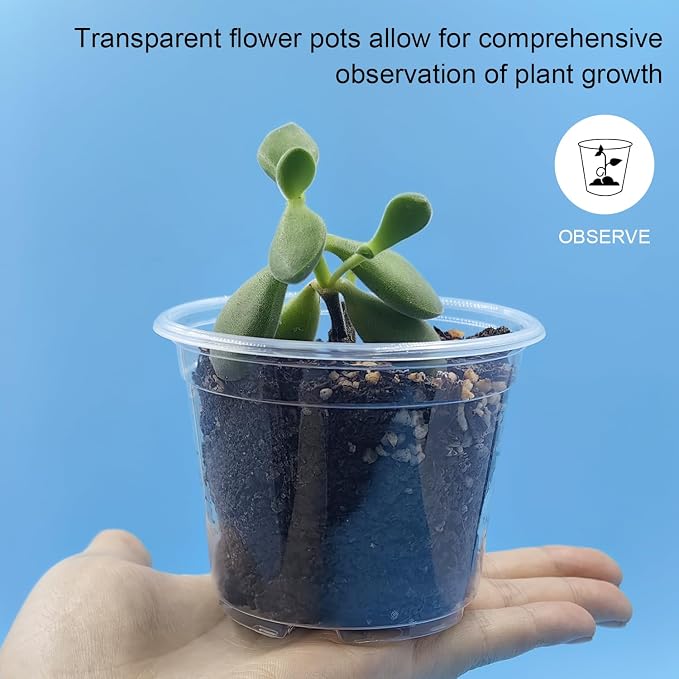 100 Pack 2.8 Inches Clear Plant Pots - Image 3