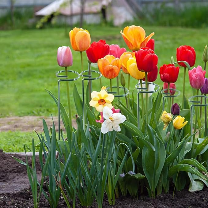 12 Pack 16 Inch Plant Support Stakes, Metal Single stemmed Flower Support - Image 8
