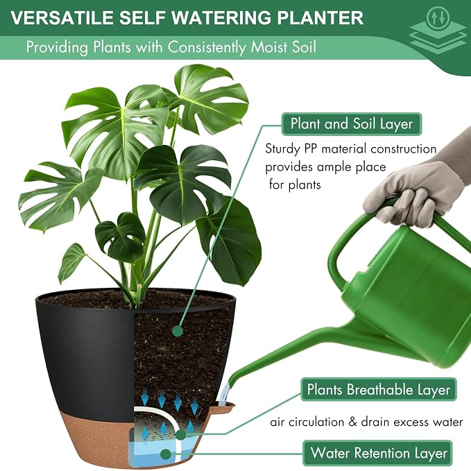 12/10/8 Inch Self Watering Pots - Image 5