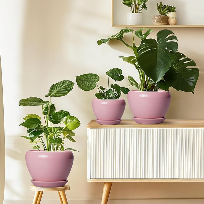 10 Inch Plant Pot - Image 8