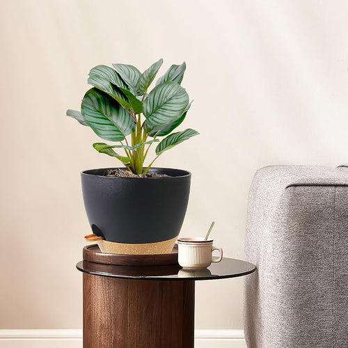 10 inch Self Watering Pots, 2 Pack Plastic Planters - Image 2