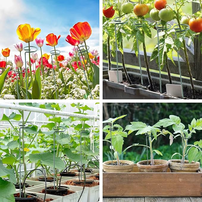 12 Pack 18 Inch Plant Support Stakes, Metal Single stemmed Flower Support - Image 5