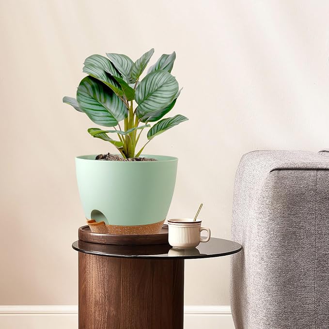 10 inch Self Watering Pots, 2 Pack Plastic Planters - Image 2