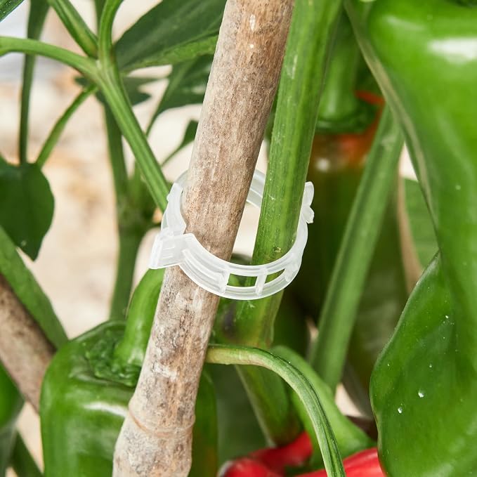 100 Pcs Plant Support Clips, Plastic Clips - Image 9
