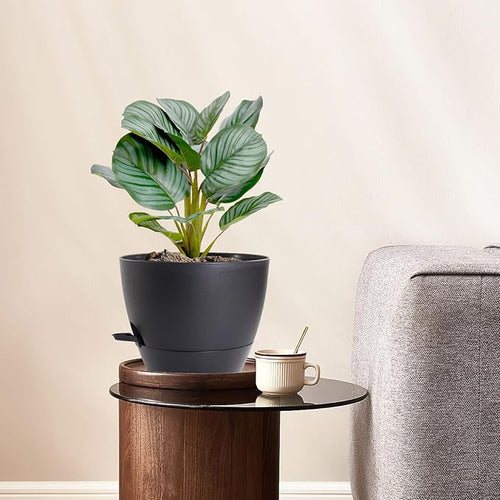 10 inch Self Watering Pots, 2 Pack Plastic Planters - Image 2