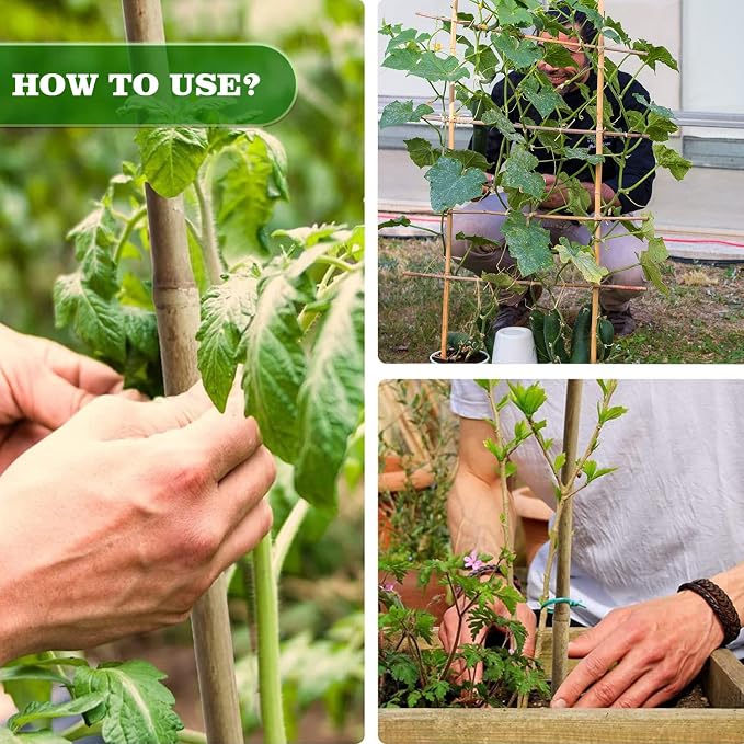 10pcs 1" D Thicker Heavy Duty Bamboo Stakes, 8FT Plant Stakes, Natural Garden - Image 7