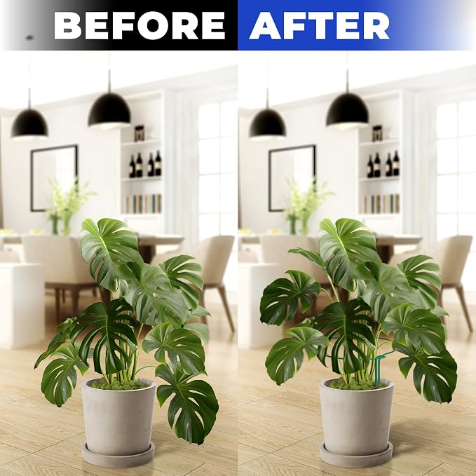 12 Pack Tall Snake Plant Support Stakes – 10" W x 24" H Half Round Peony Cages - Image 5