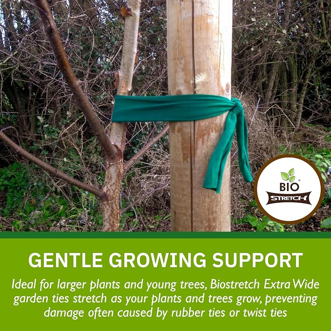 Extra Wide Soft Tree Ties - Image 3