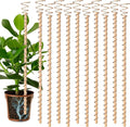 10pcs Electroculture Plant Stakes, Garden Stakes, Tensor Rings Kit, Copper Rods by Doksving