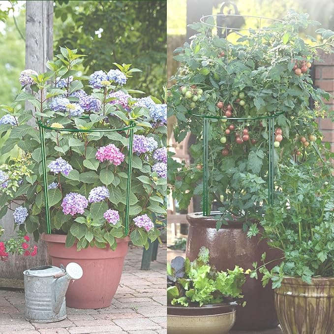 12 Pack Garden Plant Support Stakes, Half Round Peony Cages and Supports - Image 6