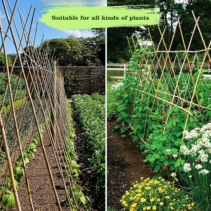 10pcs 1" D Thicker Heavy Duty Bamboo Stakes, 8FT Plant Stakes, Natural Garden - Image 8